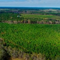 Water Oak Farm - Tract 7 images 3