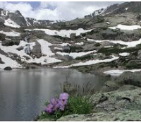 Holy Cross Wilderness 122,918 acres Elk Hunting Land in Lake County, CO images 4