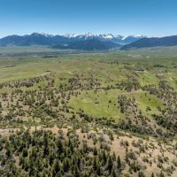 50 Acres of Amazing Hunting Recreational Residential Use LAND images 2