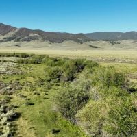 Needle Creek Ranch images 4