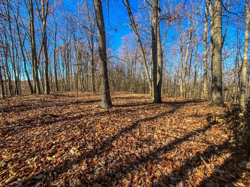 Prussia Rd - 5 acres - Pike County featured image