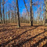 Prussia Rd - 5 acres - Pike County