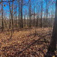 Prussia Rd - 5 acres - Pike County images 2