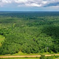 15.573 Ac CR 1050 Houston County TX images 4