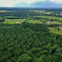 15.573 Ac CR 1050 Houston County TX images 5