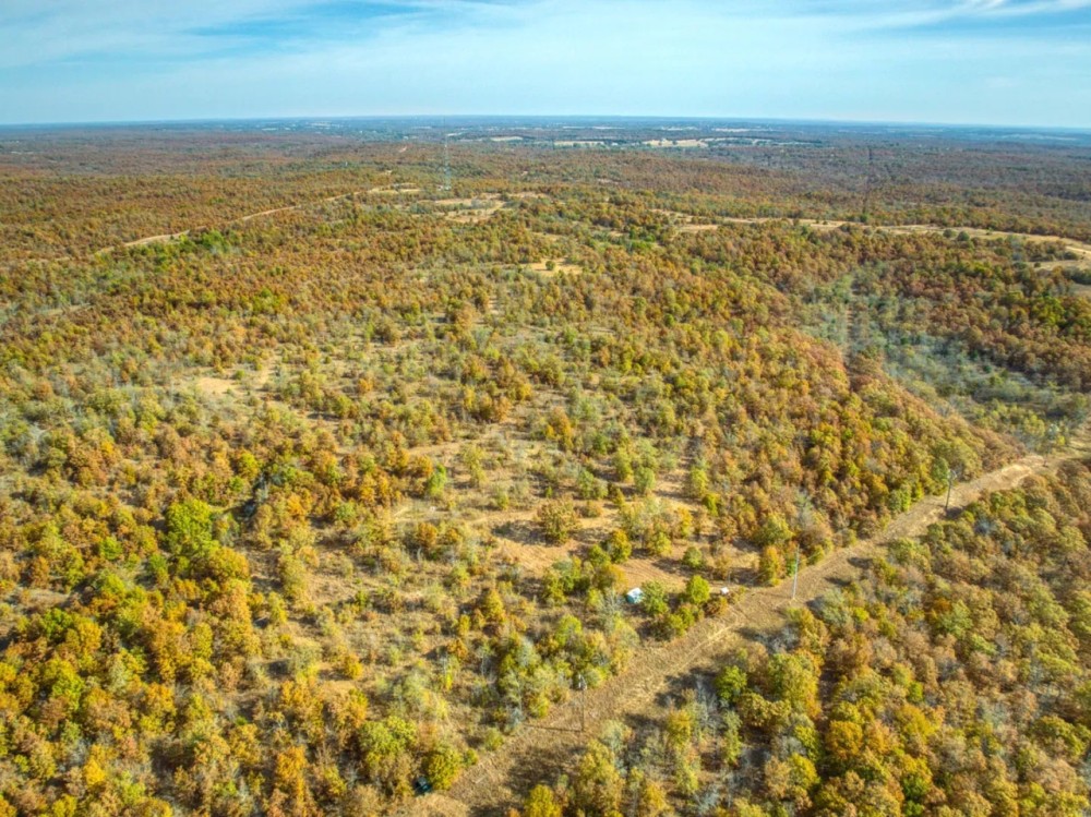 Dozer Deer Camp featured image