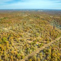 Dozer Deer Camp