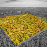 Dozer Deer Camp images 2