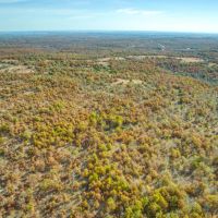 Dozer Deer Camp images 5