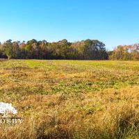 Timmons Tract