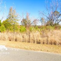 Timmons Tract images 3
