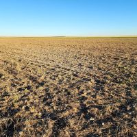 Kimball County Cropland Investment Opportunity With Paved Highway Frontage images 3