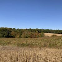 529 Acre Riverfront Resort images 2