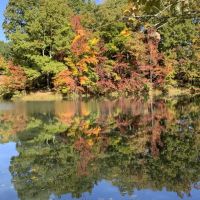 529 Acre Riverfront Resort images 3