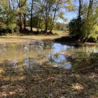 529 Acre Riverfront Resort images 5