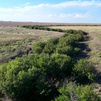Income Recreational Opportunities on North Fork Republican River Bottom images 2