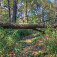 Belmont Mound State Park 80 acres of Duck Hunting in Grant, WI images 3
