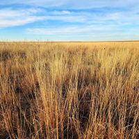 Kiowa Co. CO W160 images 2