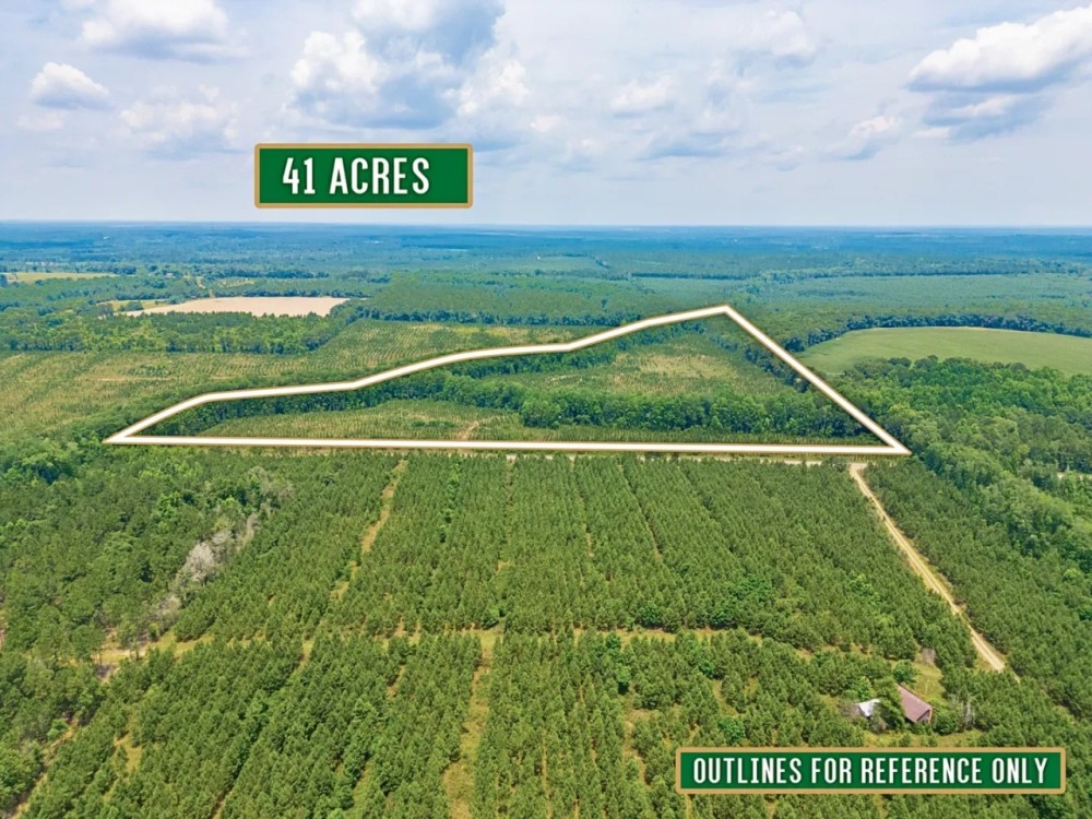 41-Acre Retreat with Thriving Pines on Powell School Road featured image