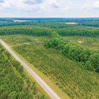41-Acre Retreat with Thriving Pines on Powell School Road images 5