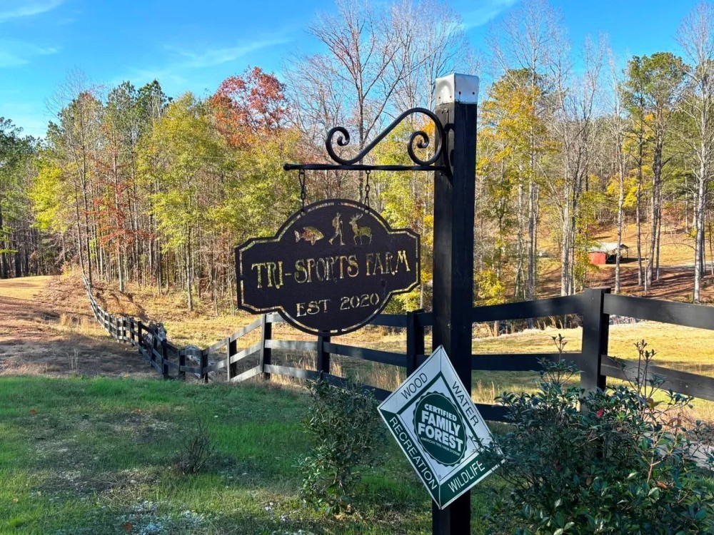 Sorghum Hollow Farm featured image
