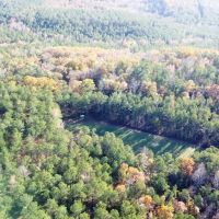Sorghum Hollow Farm images 4