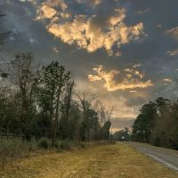 11 Acres A7 FM 2937