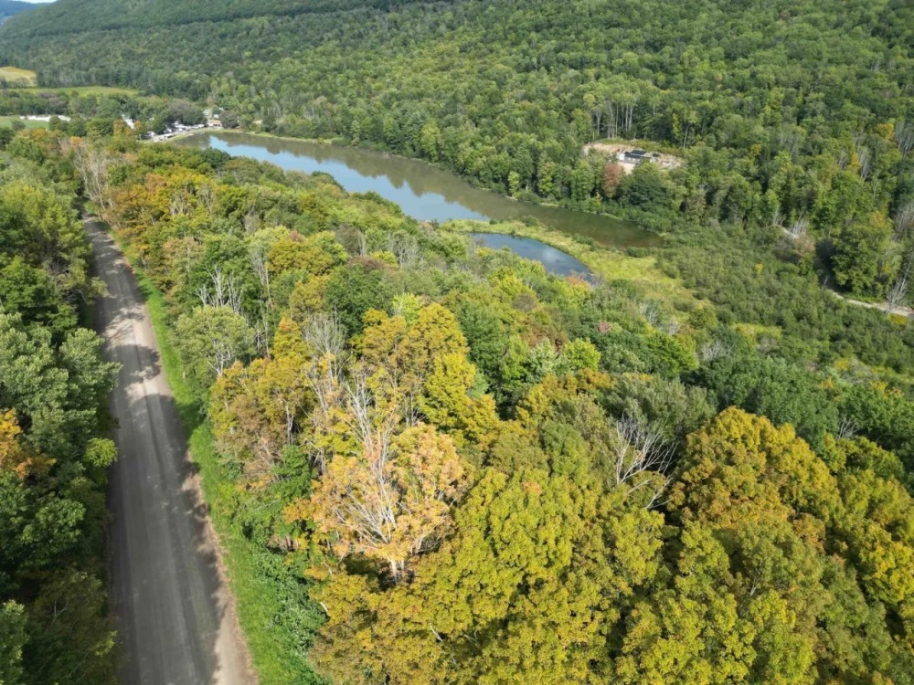 17 acres Wooded Hunting Land and Building Lot in Bath NY Harrison Road featured image