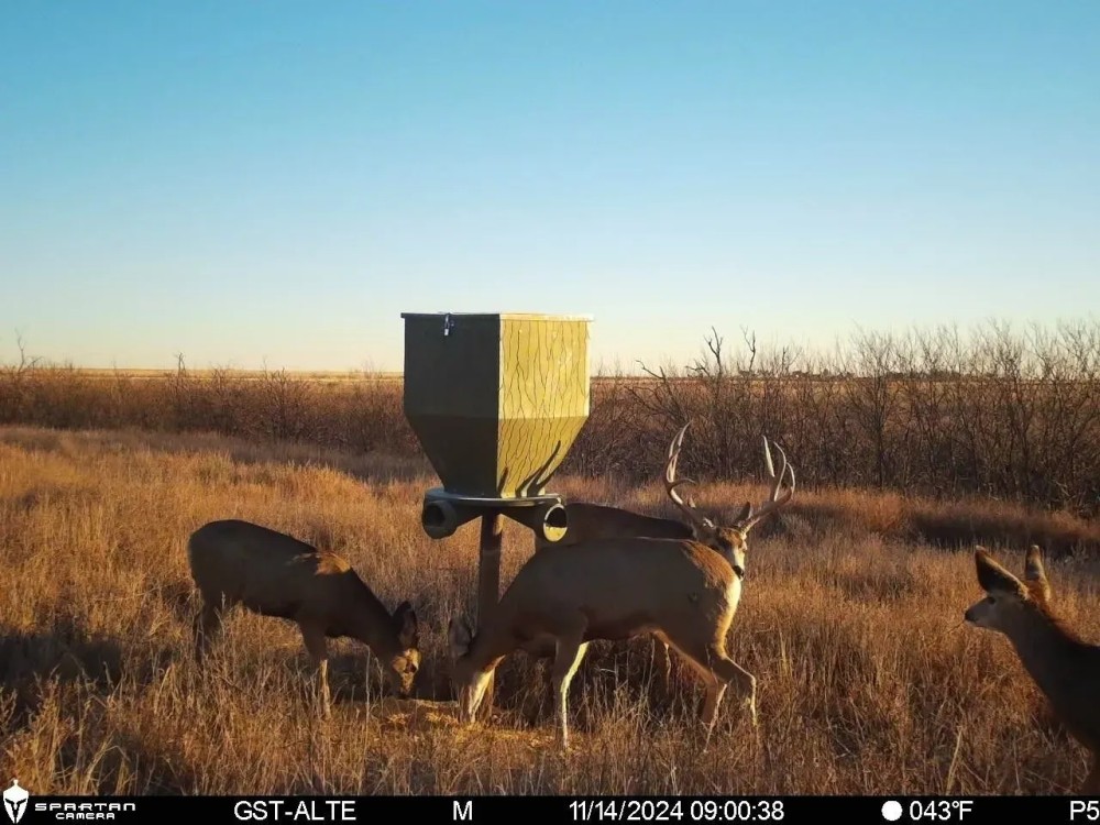 Morton Co. KS 79.6 South featured image