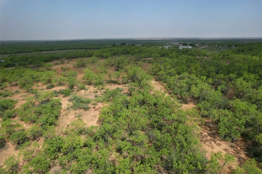 New Listing 25 - Acres Jones County Tract 8 featured image