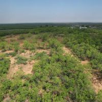 New Listing 25 - Acres Jones County Tract 8