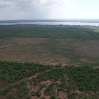 New Listing 25 - Acres Jones County Tract 8 images 2