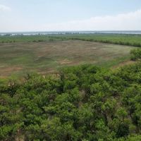 New Listing 25 - Acres Jones County Tract 8 images 3