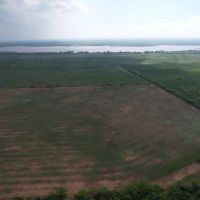 New Listing 25 - Acres Jones County Tract 8 images 4