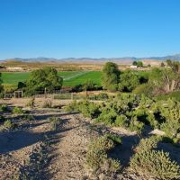 Owyhee Angus Ranch images 2