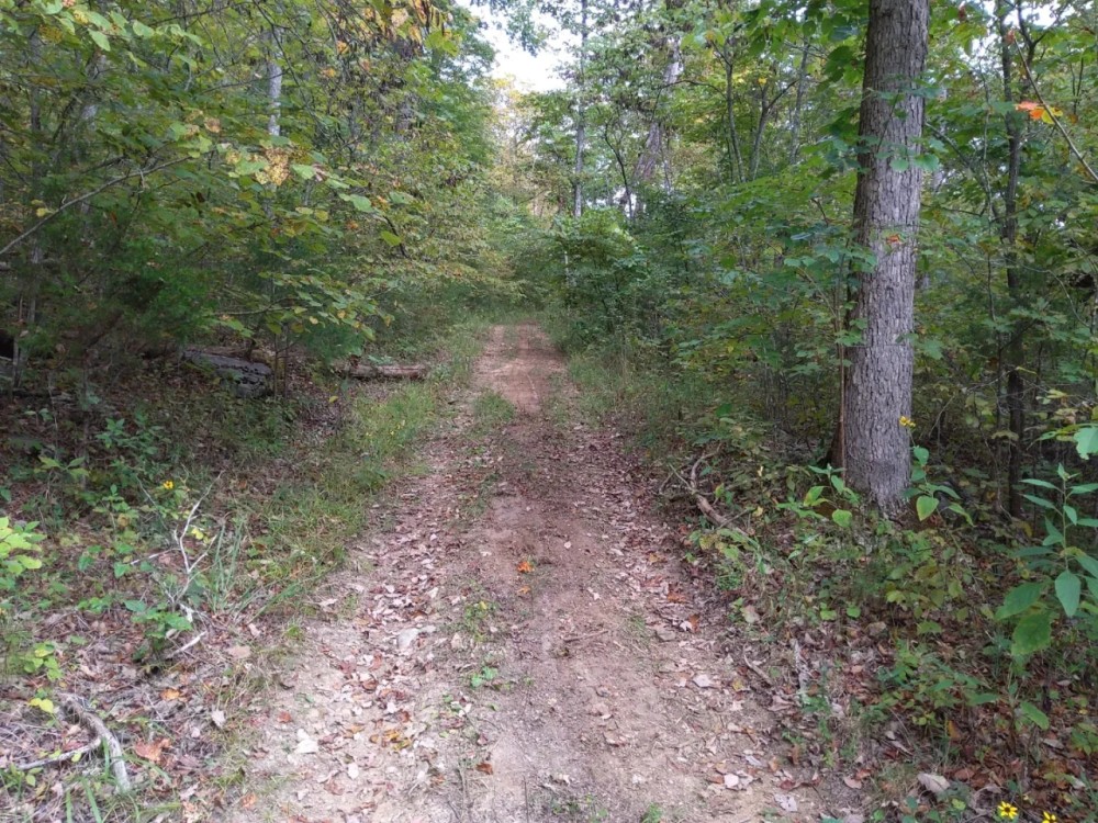 278 Acres Parmleysville Rd. Monticello KY featured image