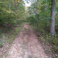 278 Acres Parmleysville Rd. Monticello KY
