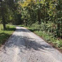 278 Acres Parmleysville Rd. Monticello KY images 3