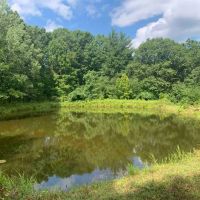 38 acres with Cabin and Pond in Rensselaerville NY 50 Frieda s Hill Lane images 3
