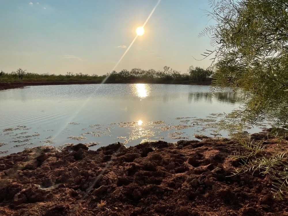 Back on the Market 140 - Acres Jones County featured image
