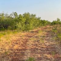 Back on the Market 140 - Acres Jones County images 4