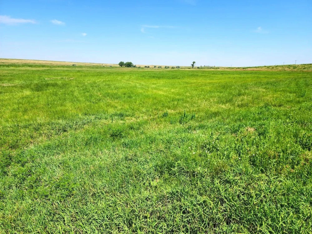 Building Site With Paved Road Frontage near Strasburg CO featured image