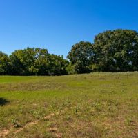 Jackrabbit Tract 1 images 4