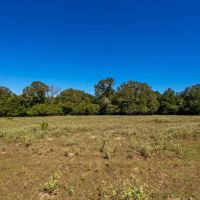 Jackrabbit Tract 1 images 5