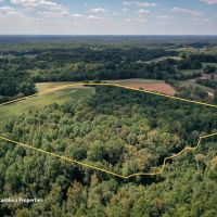 Rural Acreage and Homesite in Davie County NC images 2