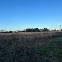 Pasture Land for Sale Quitman TX Near Lake Fork images 2