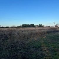 Pasture Land for Sale Quitman TX Near Lake Fork images 3