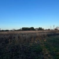 Pasture Land for Sale Quitman TX Near Lake Fork images 5