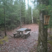 Big Bay State Park 2350 Acres of Deer hunting land in Ashland, WI images 4