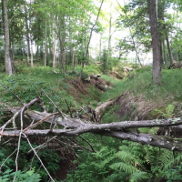 Big Bay State Park 2350 Acres of Deer hunting land in Ashland, WI images 2